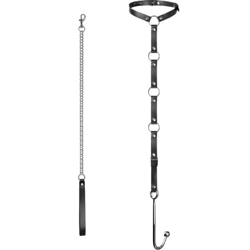 and EverydayUse Hook with Anal Leash Kinky 5853 Collar 0827